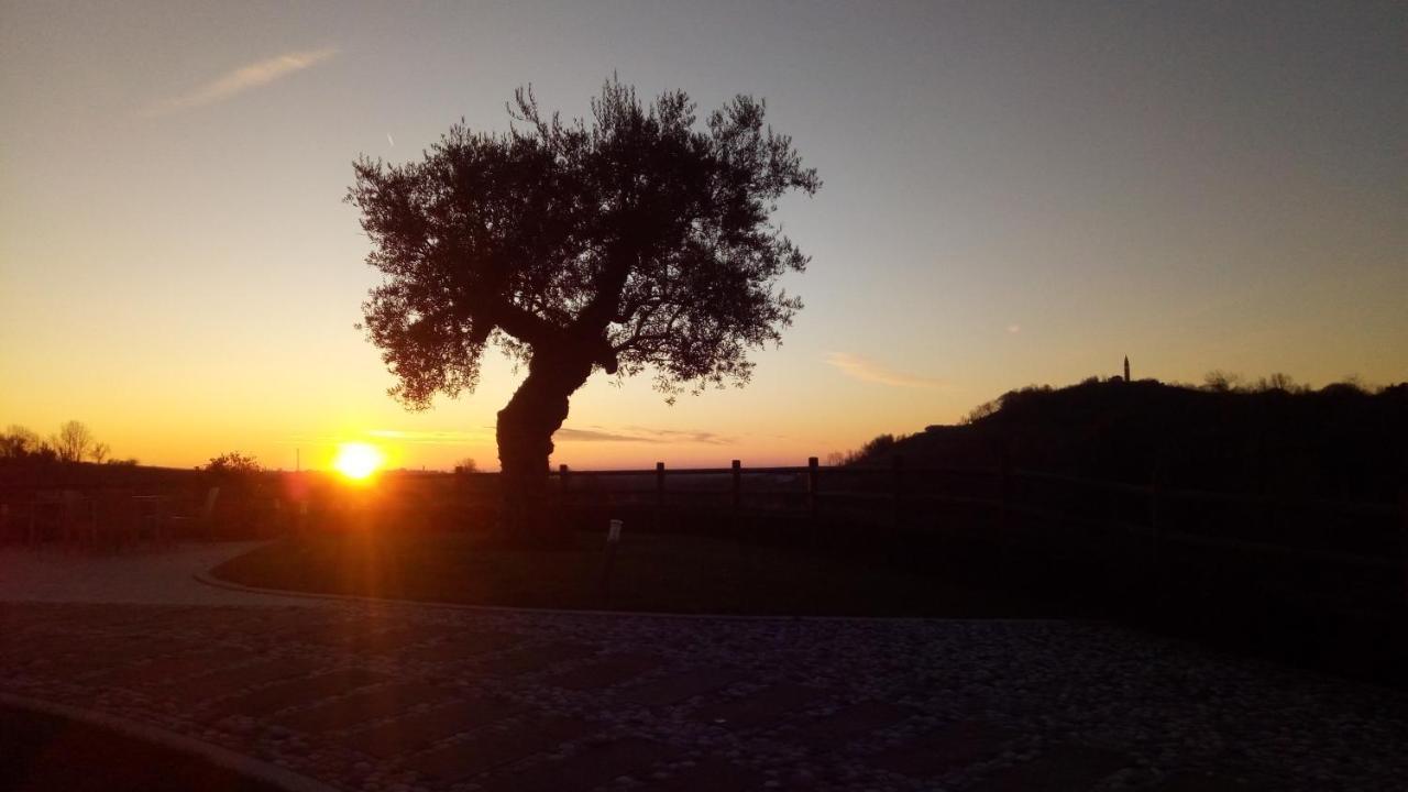 Agriturismo Althea Vittorio Veneto Zewnętrze zdjęcie