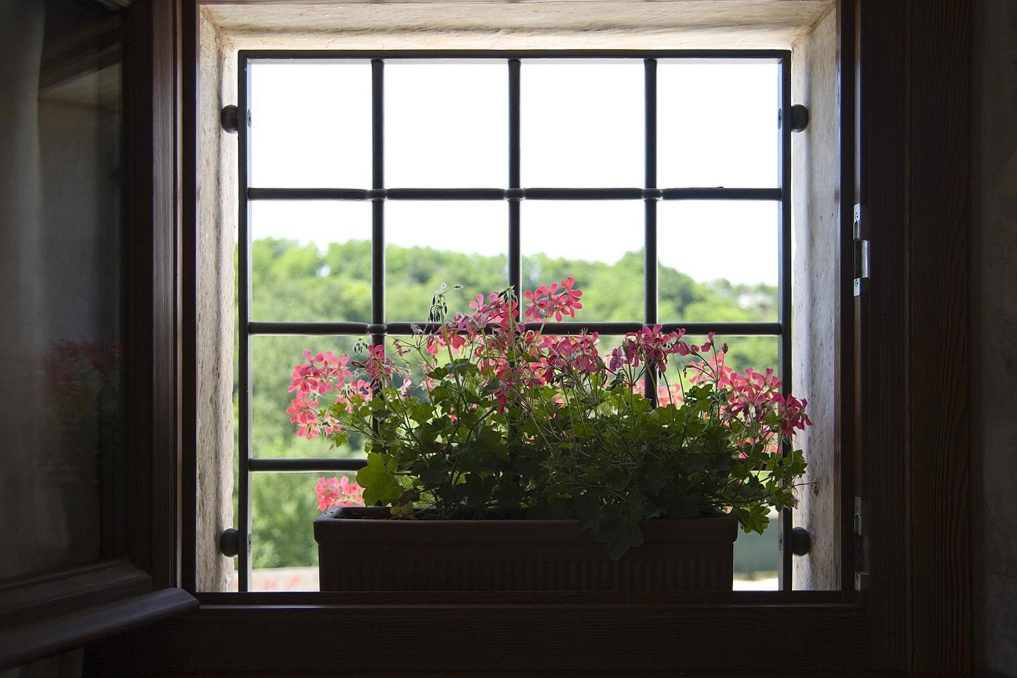 Agriturismo Althea Vittorio Veneto Zewnętrze zdjęcie