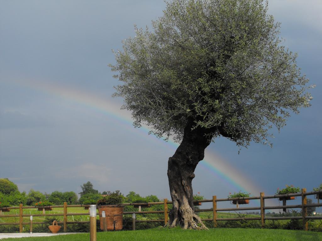 Agriturismo Althea Vittorio Veneto Zewnętrze zdjęcie