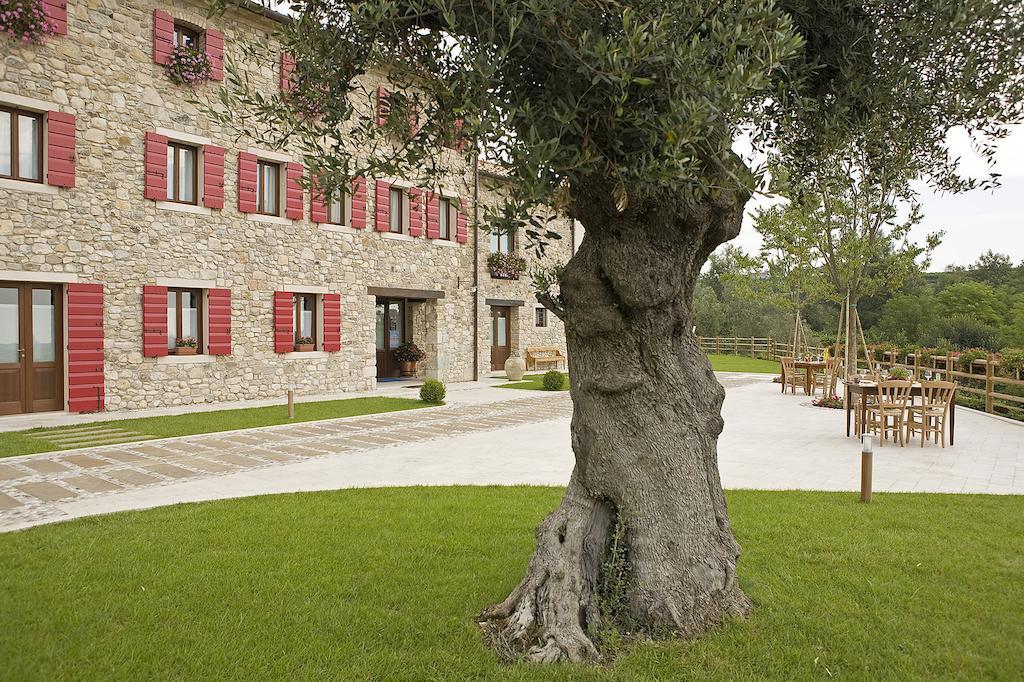 Agriturismo Althea Vittorio Veneto Zewnętrze zdjęcie
