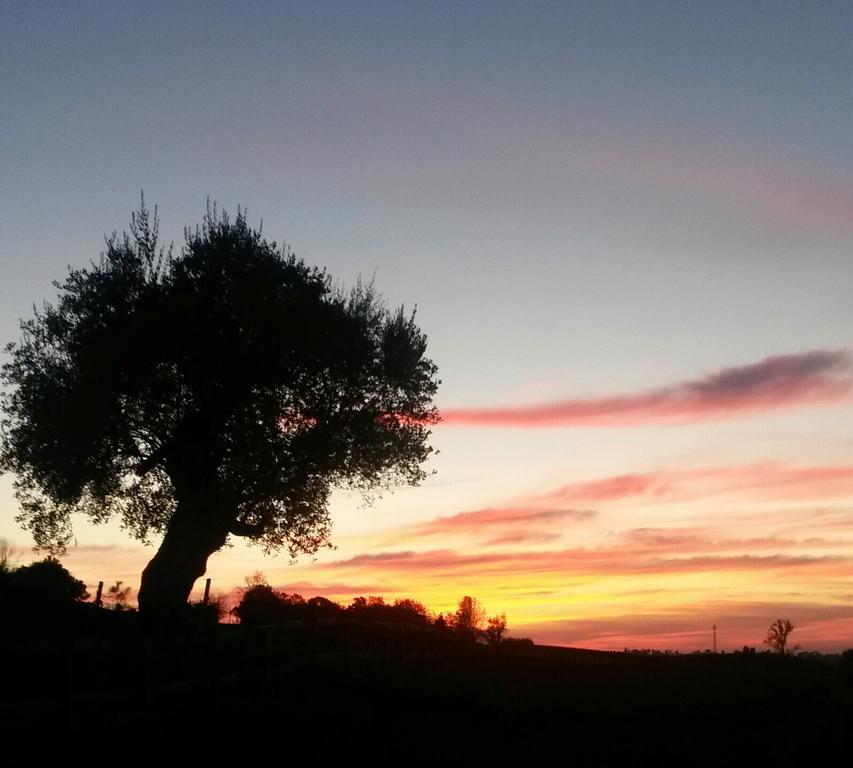 Agriturismo Althea Vittorio Veneto Zewnętrze zdjęcie